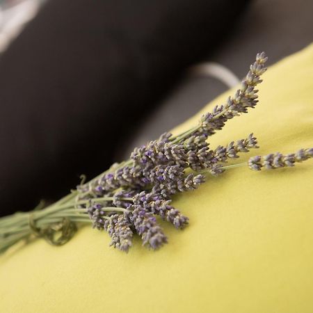 Apartments Villa Zara Lovran Kültér fotó